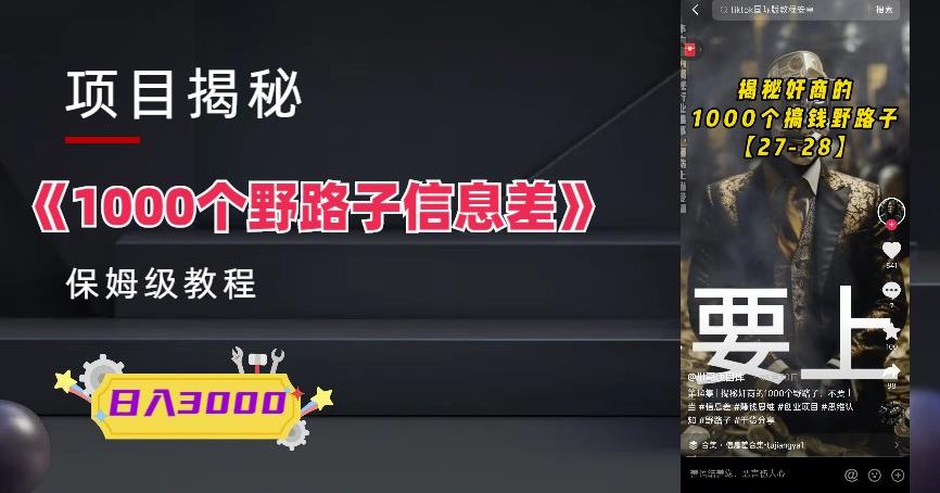 1000个野路子信息差-单日变现3000+的玩法教程-创淘项目网