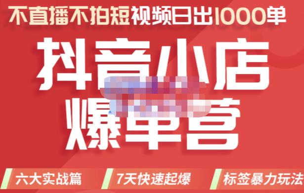 推易电商·2022年抖音小店爆单营，不直播、不拍短视频、日出1000单，暴力玩法-创淘项目网
