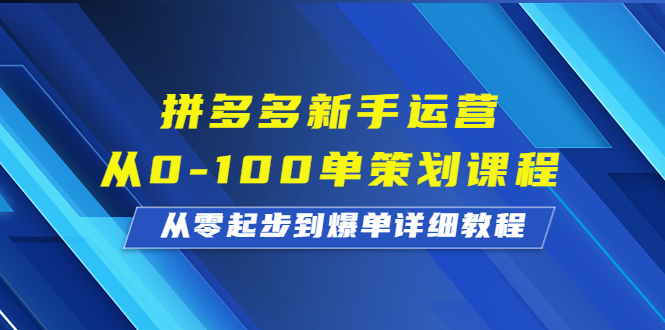 拼多多新手运营从0-100单策划课程，从零起步到爆单详细教程-创淘项目网