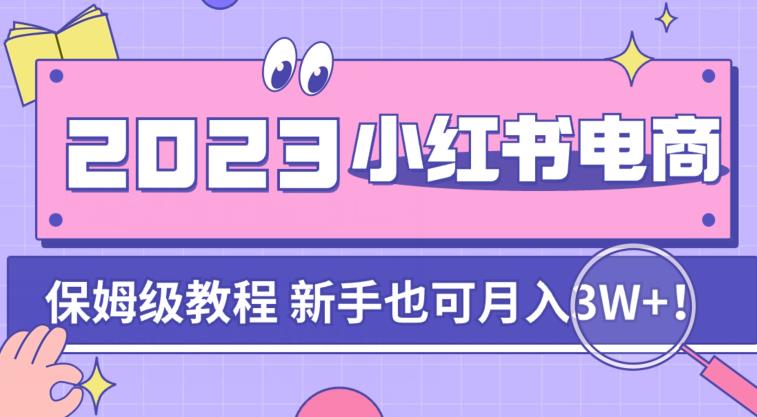 阿本小红书电商陪跑营4.0，带大家从0到1把小红书做起来-创淘项目网