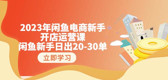 2023年闲鱼电商新手开店运营课：闲鱼新手日出20-30单（18节-实战干货）-创淘项目网