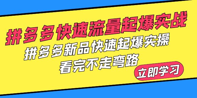 拼多多-快速流量起爆实战，拼多多新品快速起爆实操，看完不走弯路-创淘项目网