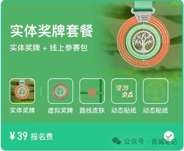单日收益500+，帮别人跑跑步，也能赚钱的副业！-创淘项目网