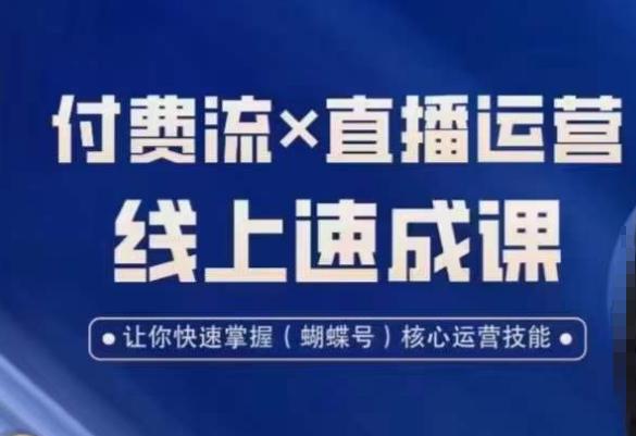 视频号付费流实操课程，付费流✖️直播运营速成课，让你快速掌握视频号核心运营技能-创淘项目网