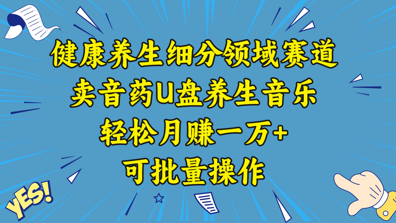 五行音乐养生：细分领域赛道卖音药U盘，打造轻松月赚一万+的健康养生项目-创淘项目网