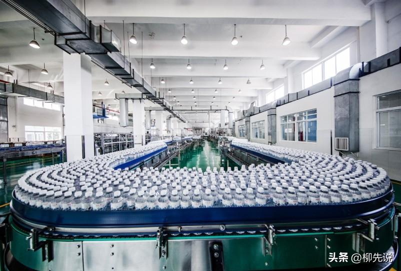 图片[2]-2024中国软饮料新排位：李子园第9，承德露露第6，康师傅位居第3-创淘项目网