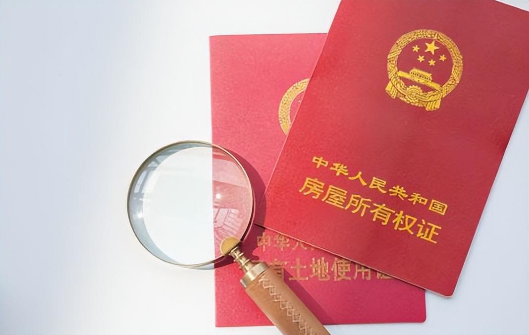 图片[4]-法院拍卖的房子这么便宜，为什么却很少有人买？看完你还敢买吗？-创淘项目网