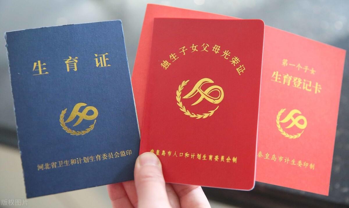 图片[2]-2024年，独生子女父母养老金5000元，每月补贴能有400元吗？看看-创淘项目网