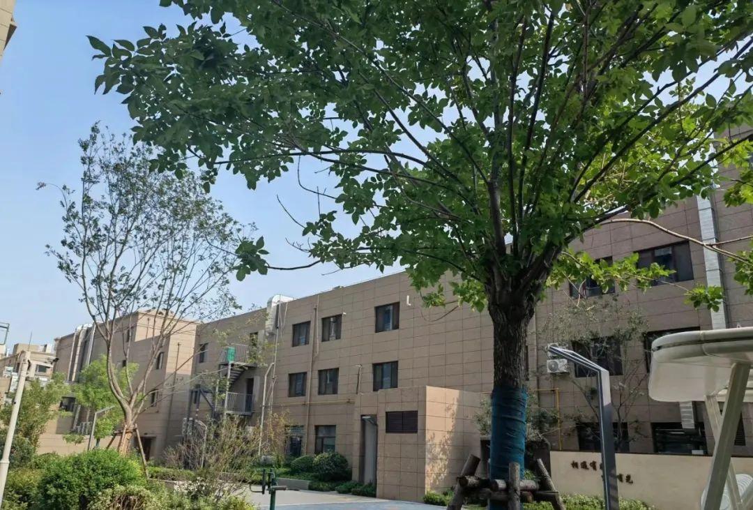 图片[13]-为什么回迁房没人愿意买了？拆迁户称：有3个缺点无法忍受-创淘项目网