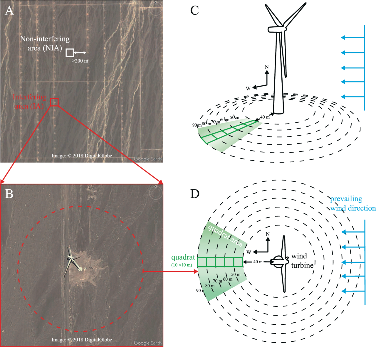 图片[7]-风力发电危害有多大？付：欧美眼中的“垃圾电”，中国为何却大力建设？-创淘项目网