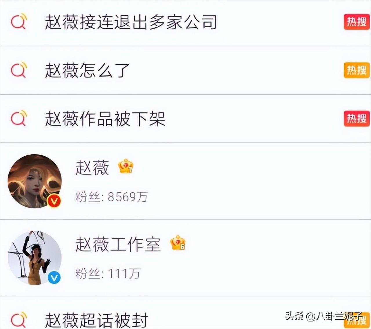 图片[7]-赵薇个人简介（赵薇为什么被全网封主要原因）-创淘项目网
