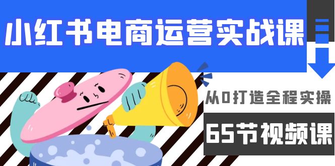 小红书电商运营实战课，从0打造全程实操（65节视频课）-创淘项目网