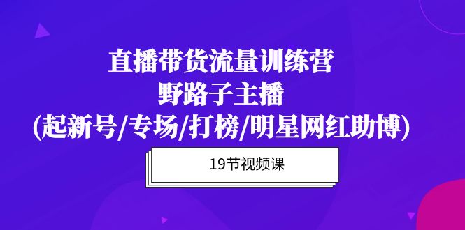 直播带货流量特训课程：野路子主播(起新号/专场/打榜/明星网红助博)19节课-创淘项目网