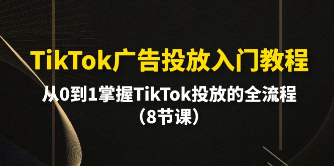 TikTok广告投放入门教程，从0到1掌握TikTok投放的全流程（8节课）-创淘项目网
