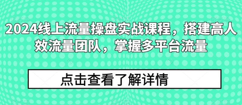 2024流量王者修炼手册：打造高效流量团队，解锁多平台流量秘籍-创淘项目网