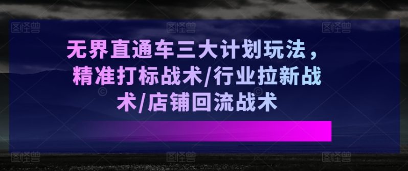 无界直通车三大计划玩法，精准打标战术/行业拉新战术/店铺回流战术-创淘项目网