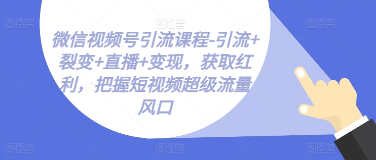 微信视频号引流课程-引流+裂变+直播+变现，获取红利，把握短视频超级流量风口-创淘项目网