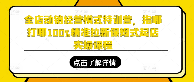 全店动销经营模式特训营,指哪打哪100%精准拉新保姆式起店实操课程-创淘项目网