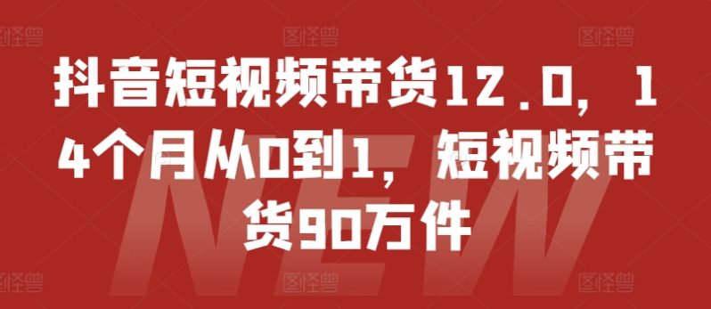 抖音短视频带货12.0，14个月从0到1，短视频带货90万件-创淘项目网