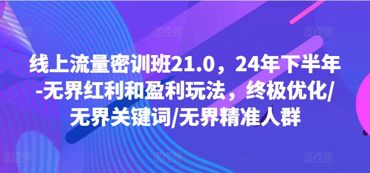 线上流量密训班21.0，24年下半年-无界红利和盈利玩法，终极优化/无界关键词/无界精准人群-创淘项目网