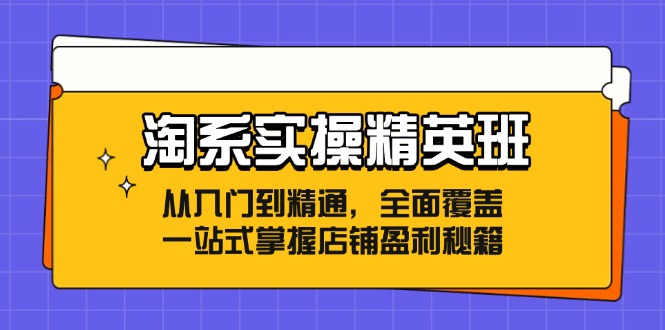 淘系实操精英班：从入门到精通，全面覆盖，一站式掌握店铺盈利秘籍-创淘项目网