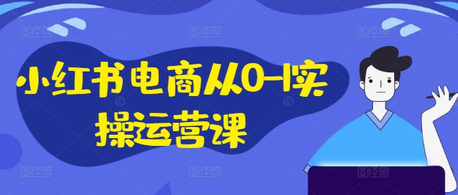 小红书电商从0-1实操运营课，小红书手机实操小红书/IP和私域课/小红书电商电脑实操板块等-创淘项目网
