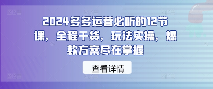 2024多多运营必听的12节课，全程干货，玩法实操，爆款方案尽在掌握-创淘项目网