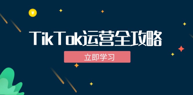 TikTok实战运营全攻略：从下载软件到变现，抖音海外版实操教程-创淘项目网