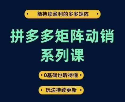 拼多多矩阵动销系列课，能持续盈利的多多矩阵，0基础也听得懂，玩法持续更新-创淘项目网