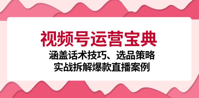 视频号运营宝典：涵盖话术技巧、选品策略、实战拆解爆款直播案例-创淘项目网