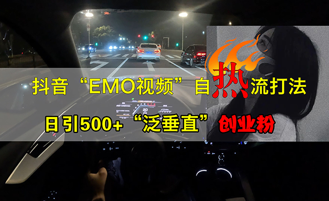 抖音EMO视频自热打法，日引500+“泛垂直”创业粉-创淘项目网
