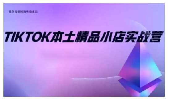 TikTok本土精品小店出海实战营，从入门到高阶，不止0-1!-创淘项目网