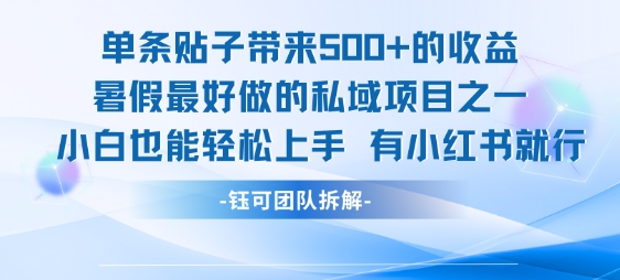 单条贴子带来5张的收益，暑假最好做的私域项目之一，小白也能轻松上手，有小红书就行-创淘项目网