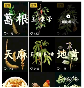 抖音中草药赛道,用AI做中草药故事视频,45条作品涨粉13W,橱窗带货猛猛出单 抖音中草药赛道,用AI做中草药故事视频,45条作品涨粉13W,橱窗带货猛猛出单